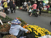 Tin tức - Những cảnh chưa từng thấy khi Tết cận kề: Vé máy bay siêu rẻ, khách "ngó lơ" với đào quất