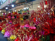 Nhà đẹp - Hướng dẫn cách cắm nụ tầm xuân ngày Tết đơn giản và đẹp mắt