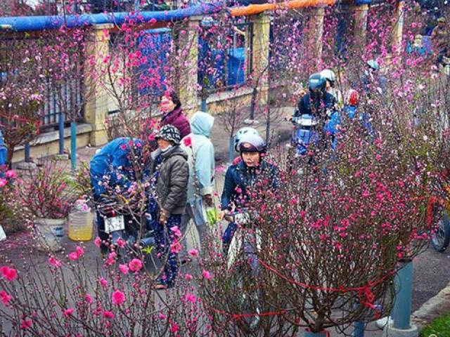 Không khí lạnh tăng cường ngày 27 Tết: Khi nào miền Bắc hết mưa rét?