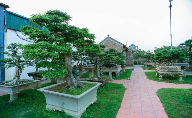 Choáng khi “lạc bước” vào những khu sân vườn bạc tỷ của đại gia Việt - 7