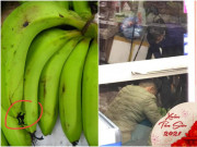 Tiêu dùng - Cú lừa không ngờ của tiểu thương ngày cận Tết 2021: Gắn keo 502 để chuối nhiều lộc