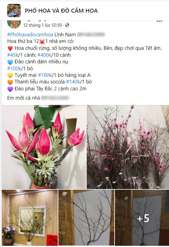 Loại hoa rừng vừa lạ, vừa đẹp mắt amp;#34;hot trendamp;#34; Tết 2021, chị em thi nhau cắm thử - 6