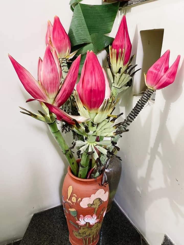 Loại hoa rừng vừa lạ, vừa đẹp mắt amp;#34;hot trendamp;#34; Tết 2021, chị em thi nhau cắm thử - 1