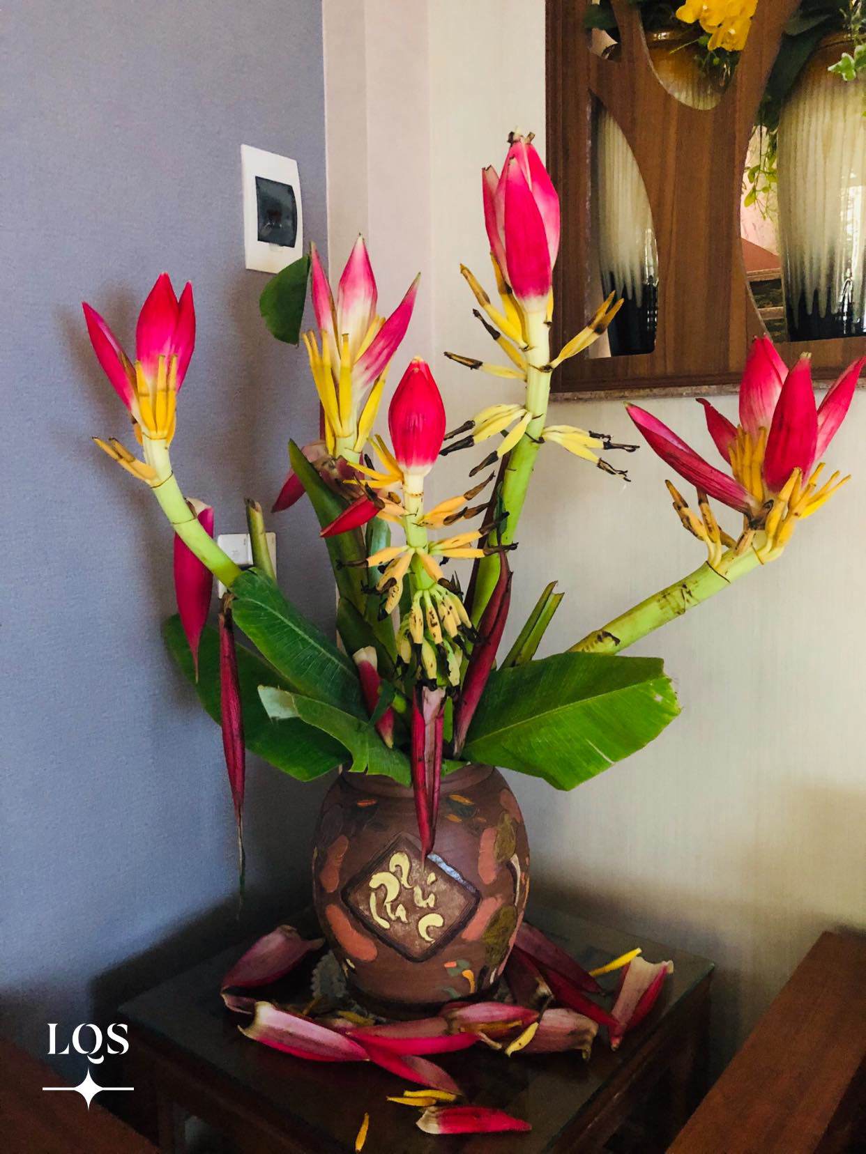 Loại hoa rừng vừa lạ, vừa đẹp mắt amp;#34;hot trendamp;#34; Tết 2021, chị em thi nhau cắm thử - 3