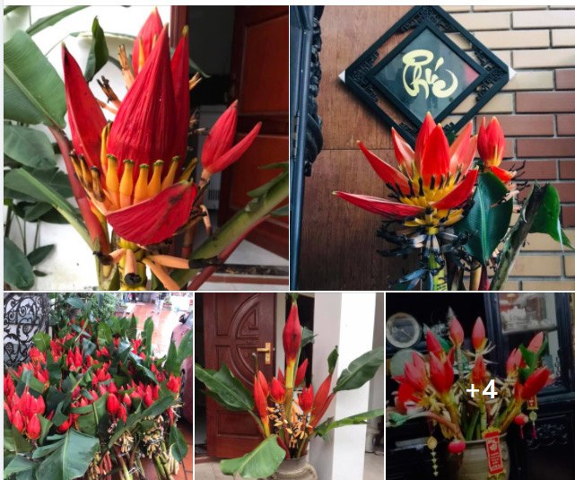 Loại hoa rừng vừa lạ, vừa đẹp mắt amp;#34;hot trendamp;#34; Tết 2021, chị em thi nhau cắm thử - 7