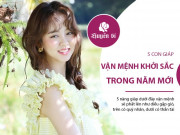 Clip Eva - Top 5 con giáp nữ vận mệnh khởi sắc, tiền tiêu thoải mái trong năm mới Tân Sửu