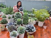 Nhà đẹp - Bình Dương: Biến sân thượng thành nông trại trồng đủ loại rau xanh lạ mắt, Tết ăn thoải mái