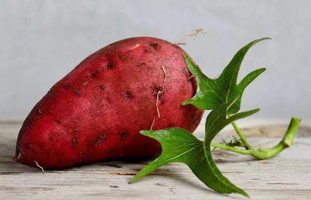 2 dấu hiệu bất thường khi xì hơi cảnh báo sức khỏe của bạn đang có vấn đề - 5