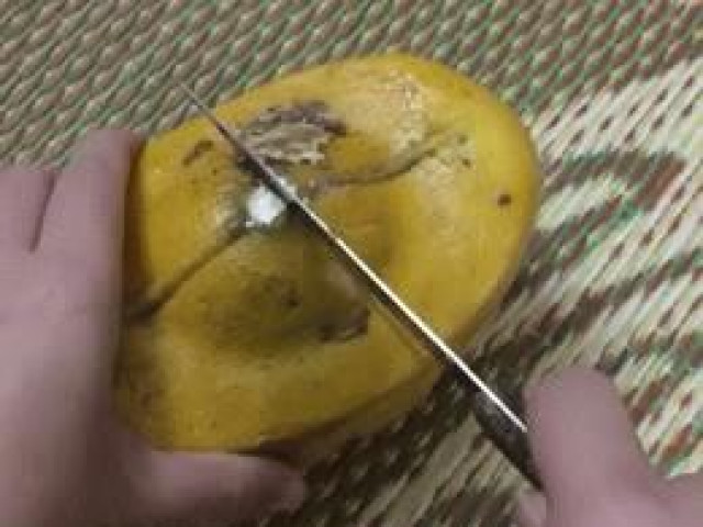 Tin tức - Bổ thử quả bưởi hình tiền vàng trưng Tết, cô gái nhận cái kết "đắng ngắt" sau 5 giây