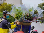 Tiêu dùng - Thị trường sau Tết: Hoa tươi bất ngờ giảm giá thê thảm, cộng đồng mạng kêu gọi giải cứu