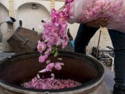 Clip Eva - Quy trình cực nghiêm ngặt để sản xuất ra loại nước hoa hồng tốt nhất thế giới