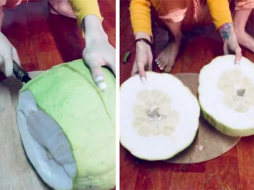 Hí hửng bổ trái cây lạ trưng Tết, dân mạng "sốc nặng" với những cái kết khó đỡ