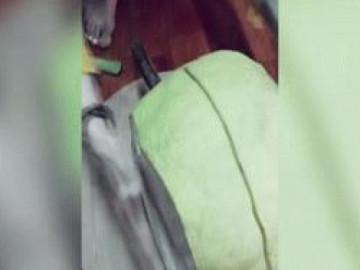                                       Clip: Cái kết ngã ngửa khi mua bưởi siêu to khổng lồ về bày Tết 