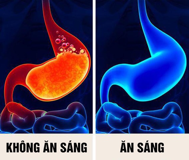 Bỏ ăn sáng có giúp giảm cân? 11 điều sẽ xảy ra với cơ thể nếu bạn bỏ bữa sáng - 7