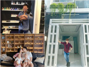 Giải trí - Gia tài đồ sộ của những nam MC: Biệt thự như cung điện, "nhà rải từ Việt Nam sang Mỹ"