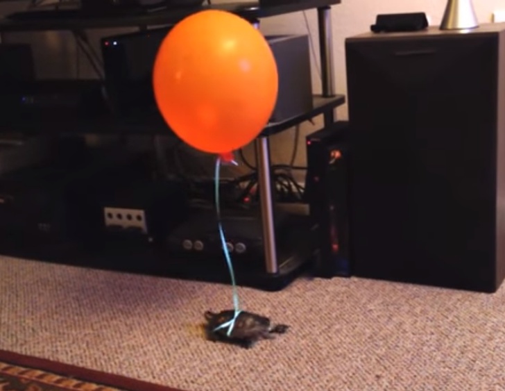 21 pha xử lý “đỉnh của chóp”, xứng đáng nhận giải siêu sáng tạo - 2