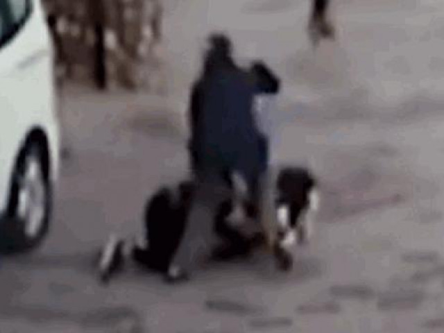 Clip Eva - Em bé bị chó pitbull cắn xé, mẹ liều mình lao vào giải cứu