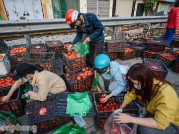  Người dân Thủ đô nườm nượp đến giải cứu nông sản cho Hải Dương 