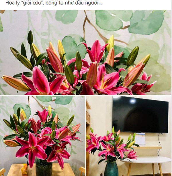 Giá hoa tươi rẻ chưa từng có, chị em lao vào “giải cứu”, có bình siêu đẹp chỉ 10.000 đồng - 5