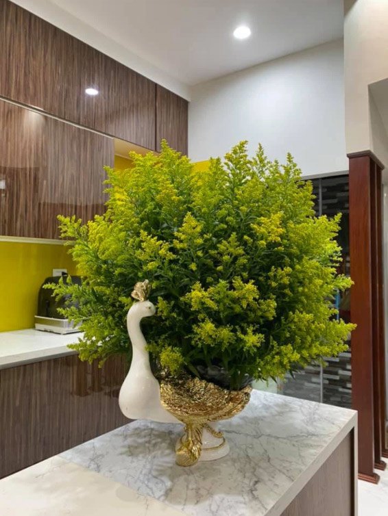Giá hoa tươi rẻ chưa từng có, chị em lao vào “giải cứu”, có bình siêu đẹp chỉ 10.000 đồng - 8