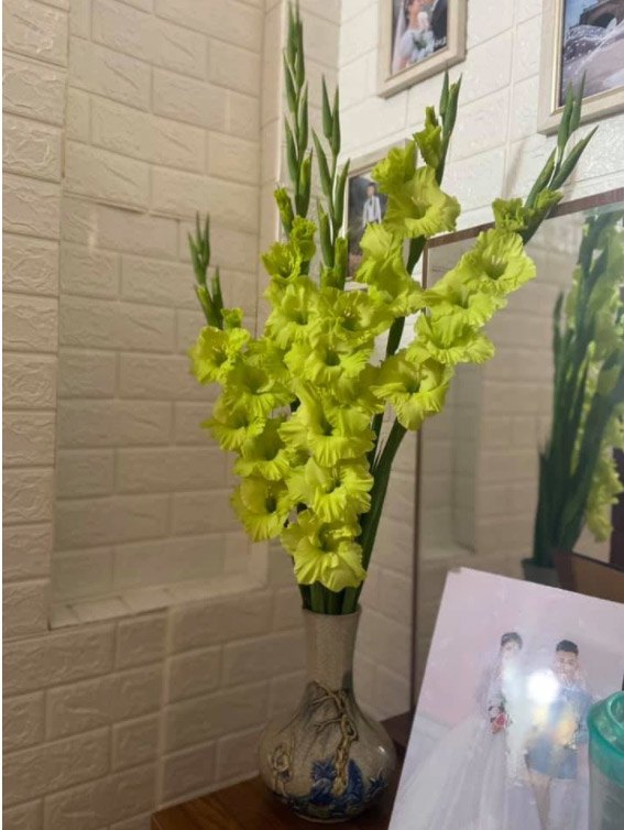 Giá hoa tươi rẻ chưa từng có, chị em lao vào “giải cứu”, có bình siêu đẹp chỉ 10.000 đồng - 3