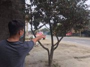 Tin tức - Nhân chứng kể phút kinh hoàng 2 cô gái và 1 thanh niên bị sát hại ở quán karaoke