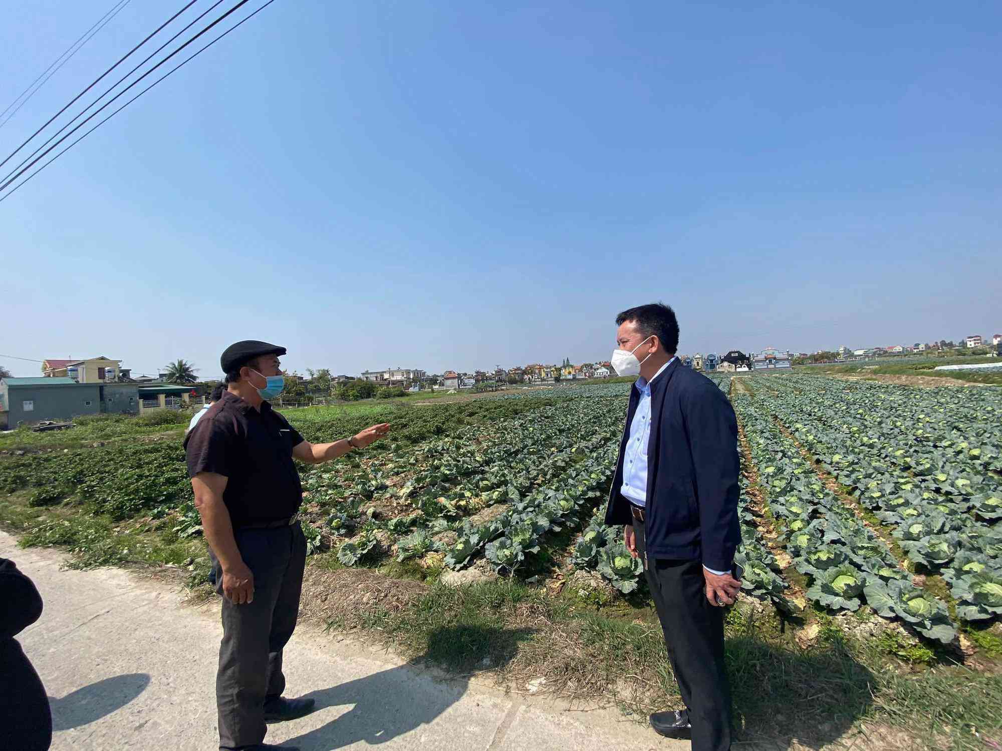 Cập nhật COVID-19: Hà Nội thông báo kế hoạch dự tính cho học sinh đến trường - 5