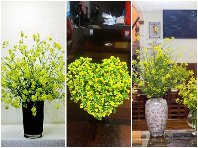 Hoa lạ giá rẻ bất ngờ lên ngôi sau Tết, cả lọ hoa rực rỡ giá 0 đồng gây sốt