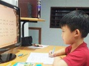 Tin tức - Nên dừng dạy học online đối với học sinh lớp 1, lớp 2 vì nhiều bất cập