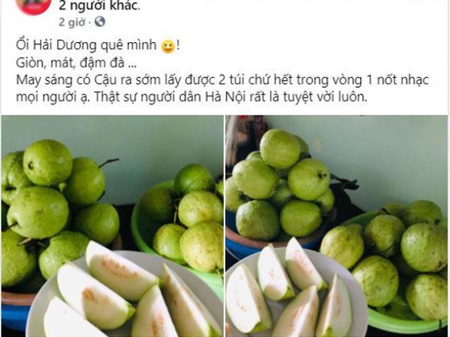 Dân mạng nườm nượp giải cứu nông sản Hải Dương giá siêu rẻ, kêu gọi bạn bè ủng hộ