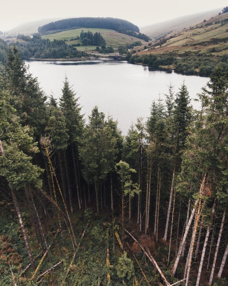 23 bức ảnh khiến người xem ngơ ngẩn rồi thốt lên: “À! Ra là thế” - 12