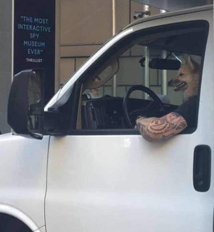 23 bức ảnh khiến người xem ngơ ngẩn rồi thốt lên: “À! Ra là thế” - 14