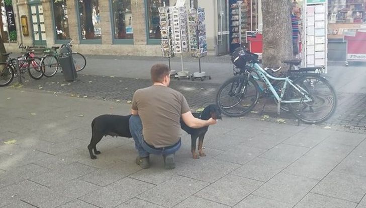 23 bức ảnh khiến người xem ngơ ngẩn rồi thốt lên: “À! Ra là thế” - 17