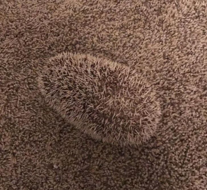 23 bức ảnh khiến người xem ngơ ngẩn rồi thốt lên: “À! Ra là thế” - 4