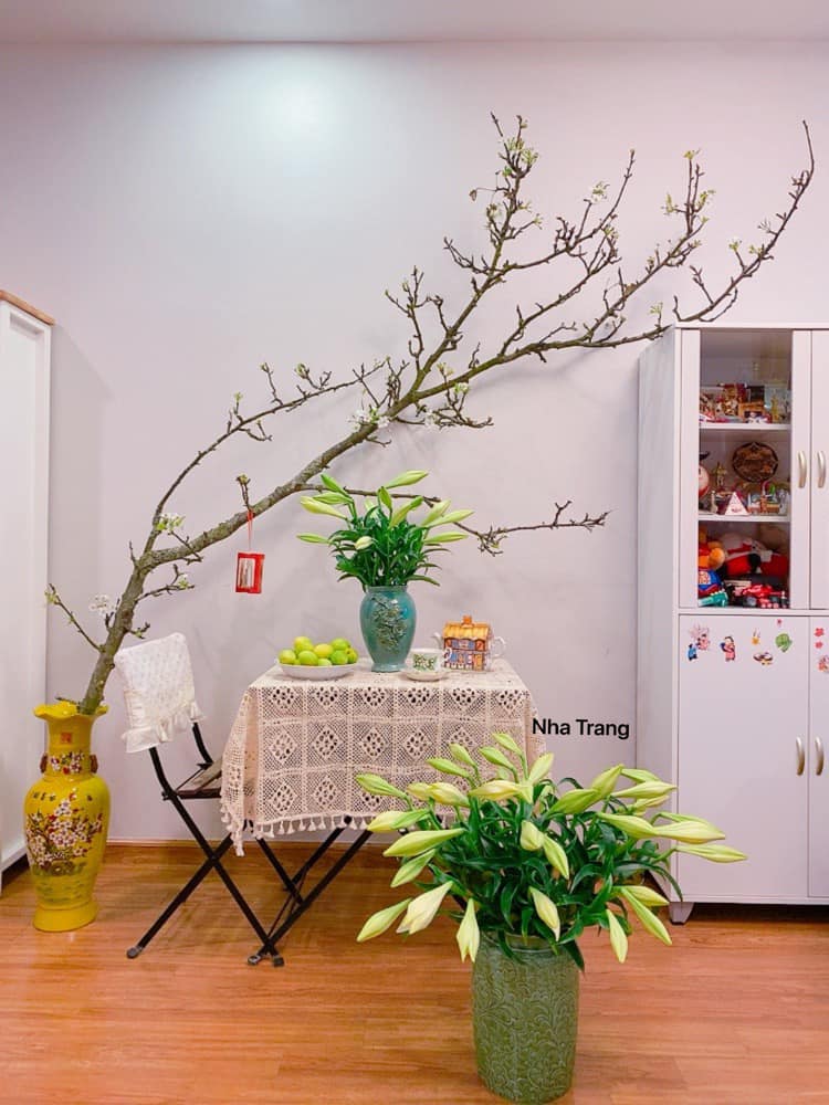 Loại hoa trắng muốt giá từ vài trăm ngàn đến cả triệu được chị em amp;#34;chi bạoamp;#34; chơi sau Tết - 3