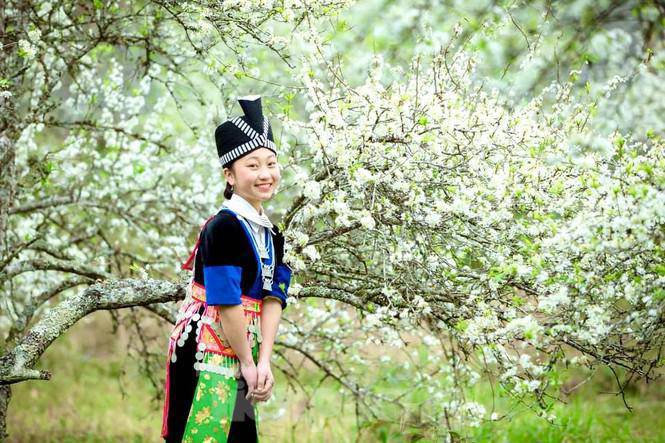 Thiếu nữ khoe sắc bên hoa mận nở trắng muốt nơi cổng trời đẹp như tranh - 3