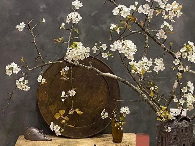 Loại hoa trắng muốt giá từ vài trăm ngàn đến cả triệu được chị em chi bạo chơi sau Tết