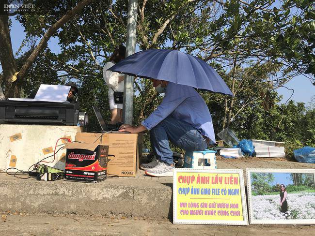 hàng trăm du khách đổ xô đi check in vườn cúc hoạ mi - 8