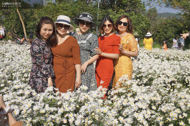 hàng trăm du khách đổ xô đi check in vườn cúc hoạ mi - 6