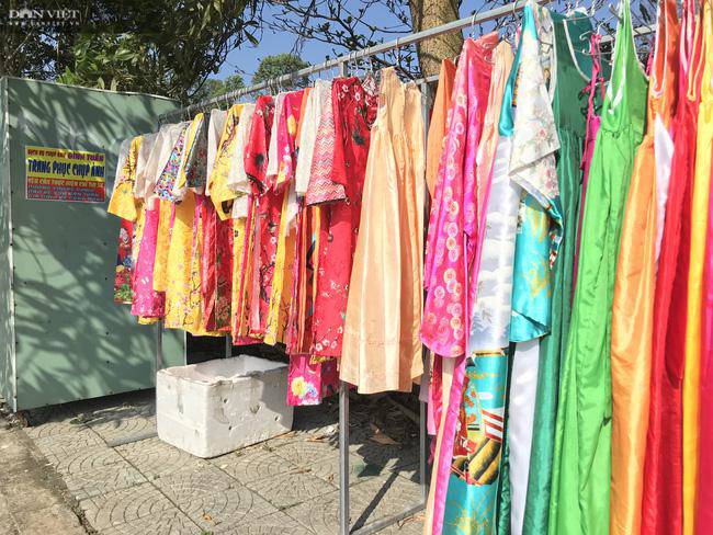 hàng trăm du khách đổ xô đi check in vườn cúc hoạ mi - 7