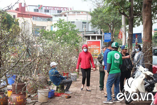 Dân Hà Nội đánh xế hộp, bỏ tiền triệu amp;#34;rướcamp;#34; hoa lê về chơi Rằm tháng Giêng - 3