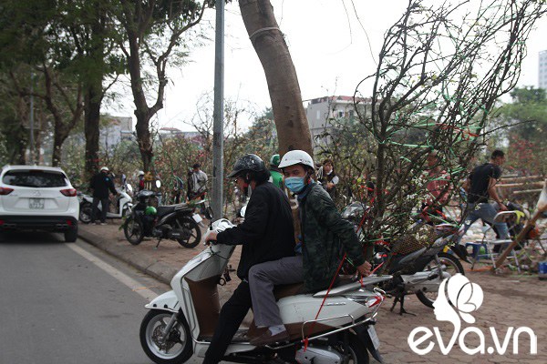 Dân Hà Nội đánh xế hộp, bỏ tiền triệu amp;#34;rướcamp;#34; hoa lê về chơi Rằm tháng Giêng - 10