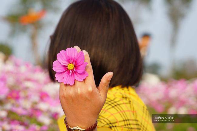 Giới trẻ rủ nhau check-in tại đồng hoa cánh bướm có một không hai ở Hà Tĩnh - 2