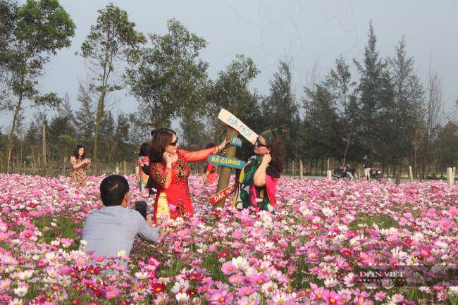 Giới trẻ rủ nhau check-in tại đồng hoa cánh bướm có một không hai ở Hà Tĩnh - 5