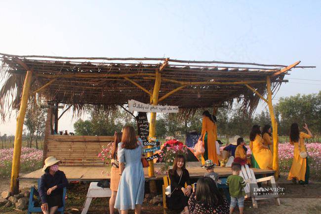 Giới trẻ rủ nhau check-in tại đồng hoa cánh bướm có một không hai ở Hà Tĩnh - 6