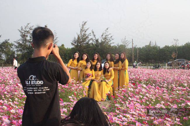 Giới trẻ rủ nhau check-in tại đồng hoa cánh bướm có một không hai ở Hà Tĩnh - 4
