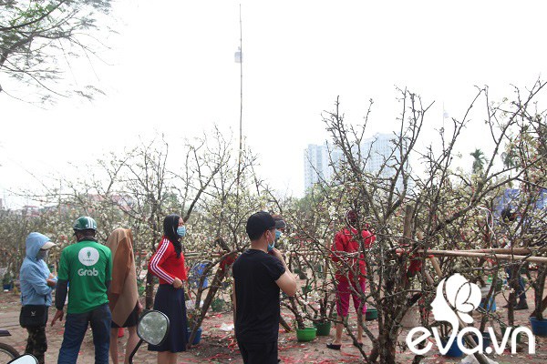 Dân Hà Nội đánh xế hộp, bỏ tiền triệu amp;#34;rướcamp;#34; hoa lê về chơi Rằm tháng Giêng - 2