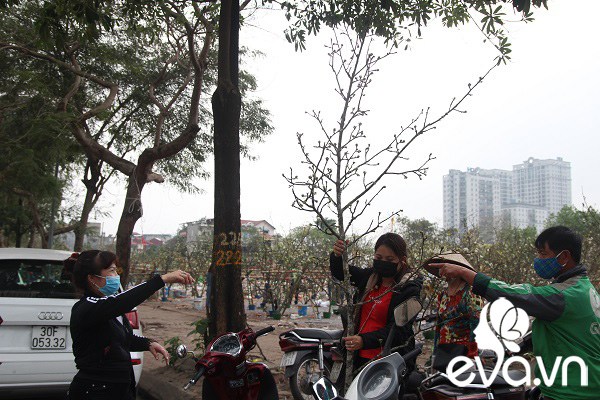 Dân Hà Nội đánh xế hộp, bỏ tiền triệu amp;#34;rướcamp;#34; hoa lê về chơi Rằm tháng Giêng - 9