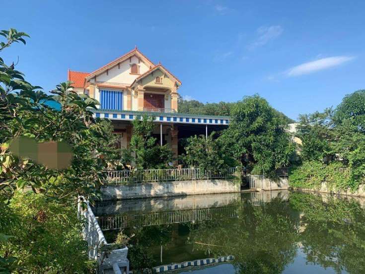 Nhà Hoa hậu Đỗ Thị Hà có vườn rau, cây trái sum suê và khu trồng lan rực rỡ - 7