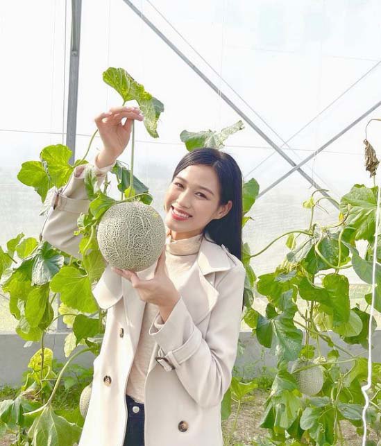 Nhà Hoa hậu Đỗ Thị Hà có vườn rau, cây trái sum suê và khu trồng lan rực rỡ - 2